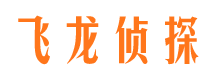 桐城婚外情调查